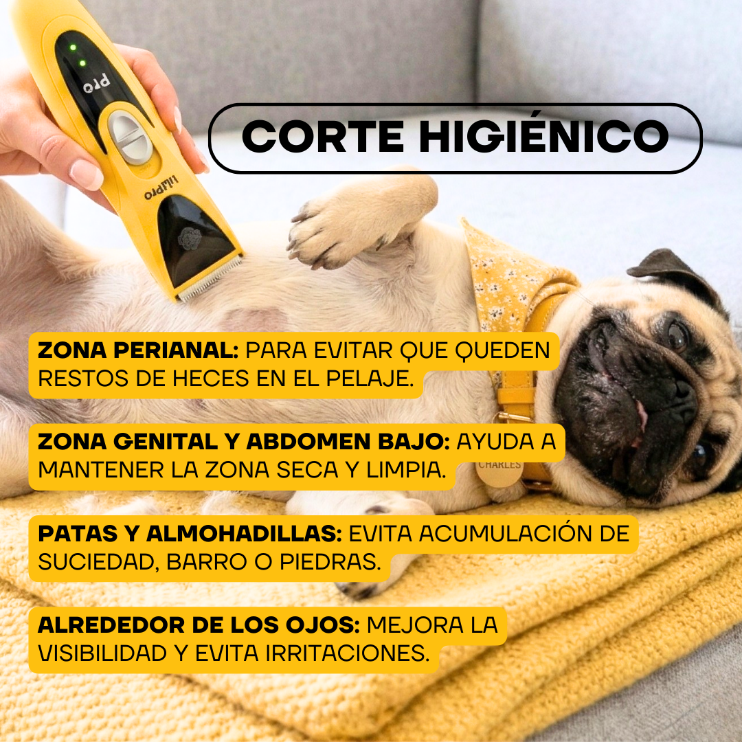 Corte higiénico en mascotas con la cortadora PT305