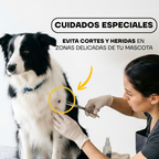 Corte de pelo con cuidado especial a un perro border collie con la PT305