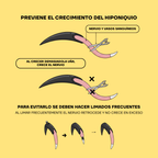 Diagrama de la uña del perro: cómo limar sin llegar a la vena