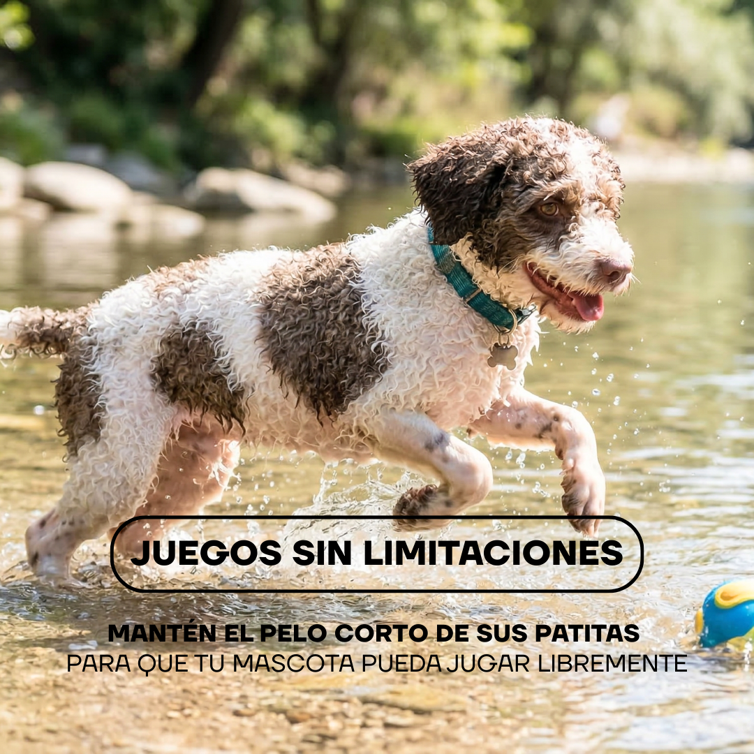 Perro jugando sin resbalar tras recortar el pelo de sus patas