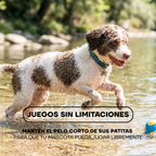 Perro jugando sin resbalar tras recortar el pelo de sus patas