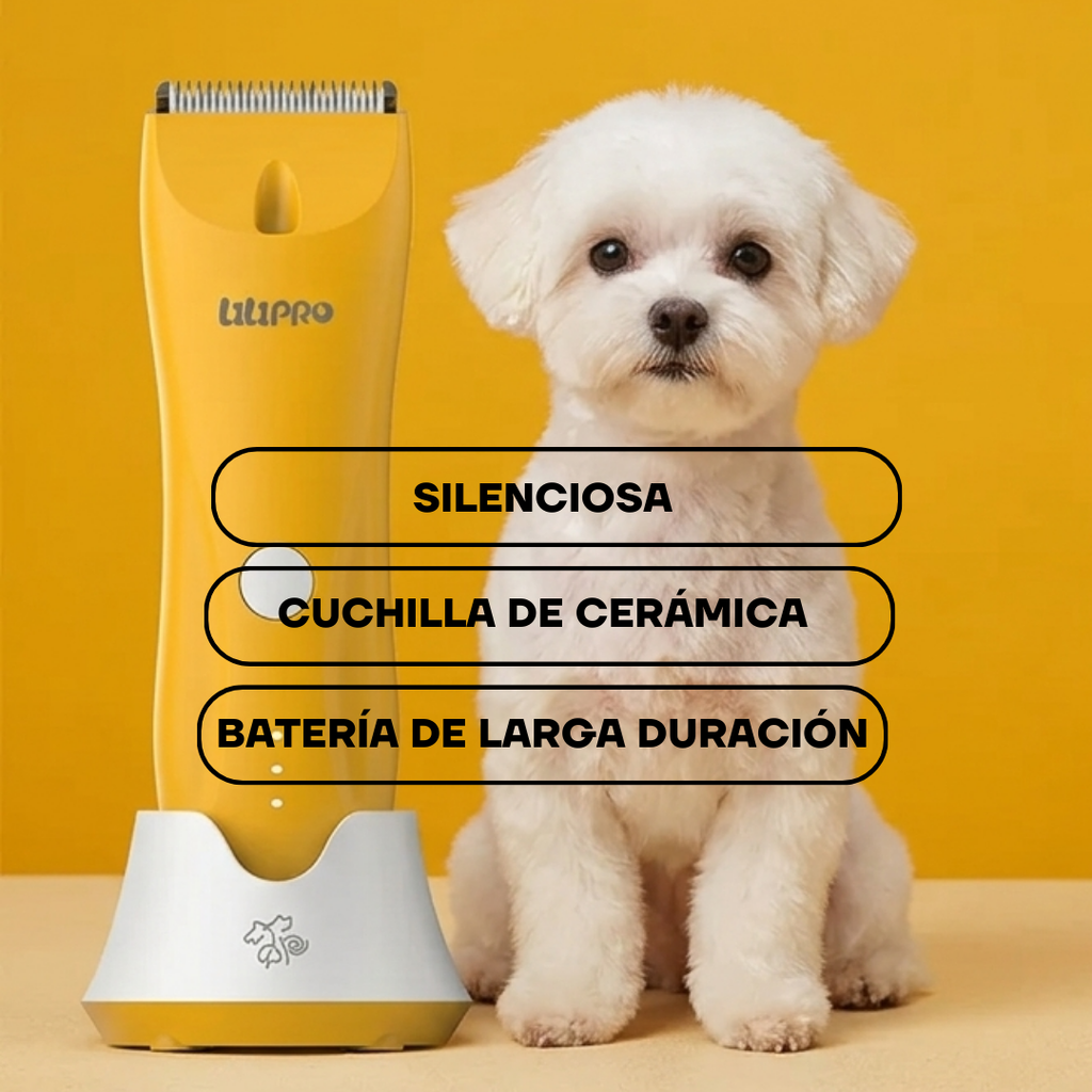 Cortadora PT304 junto a un perro maltés