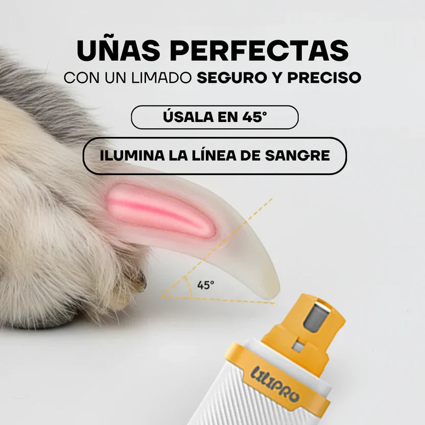 Uñas de perro limadas de forma segura con el PG100