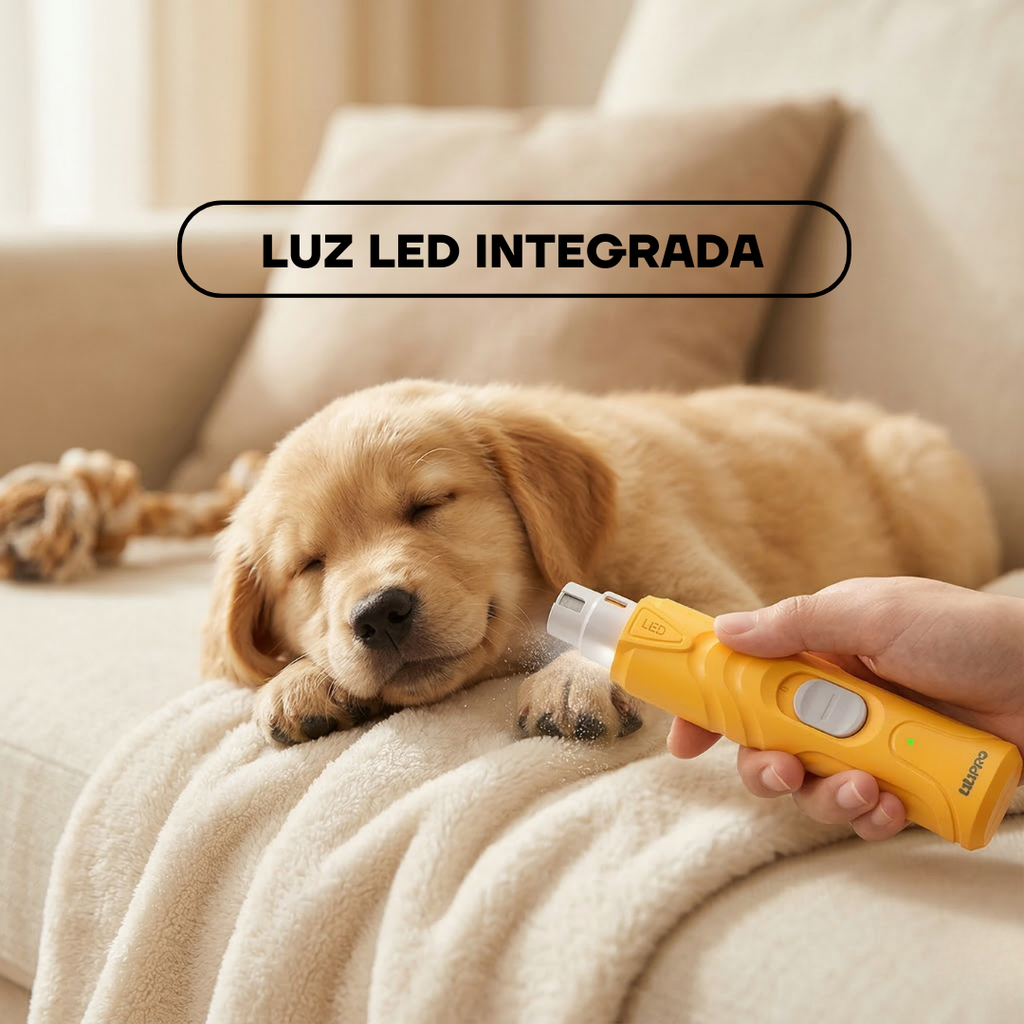 Perro durante el limado con la luz LED integrada del PG100