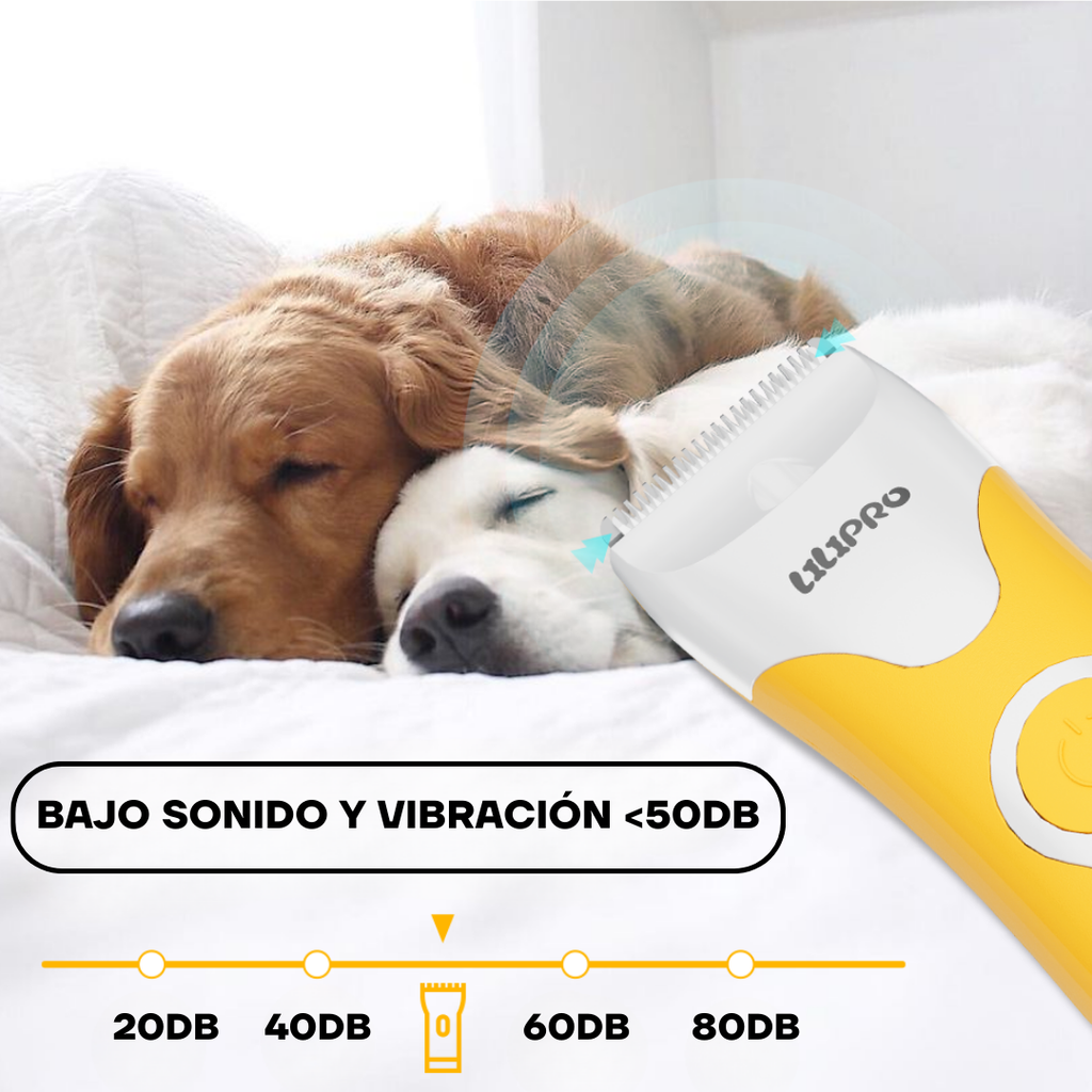 Perro durante el corte de bajo ruido y vibración con la PT302