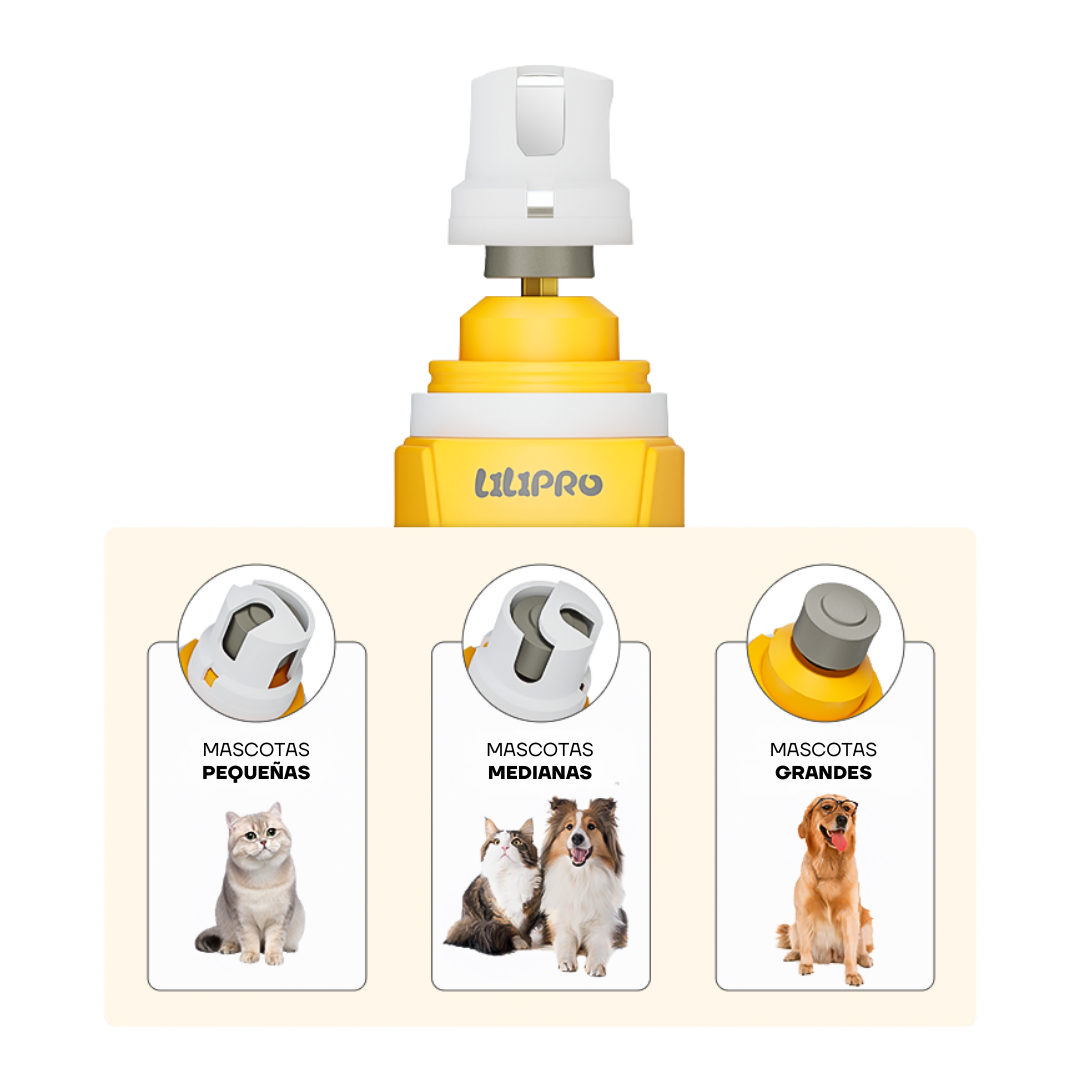 Accesorios del limador PG101 para perros y gatos