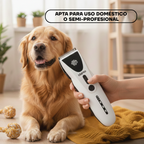 Golden retriever durante el corte de pelo con la PT306