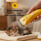 Corte de pelo a un gato con la cortadora PT304 de baja vibración