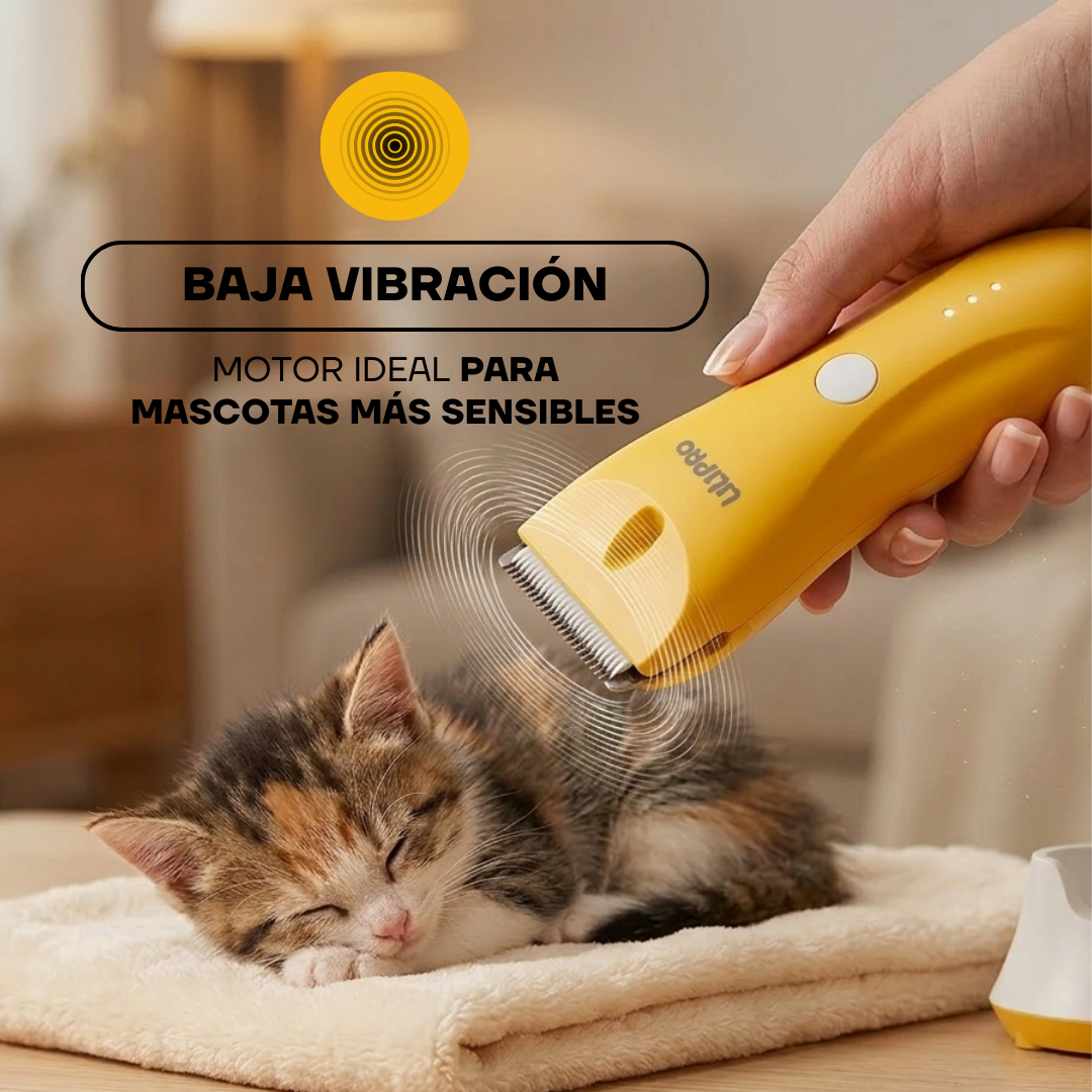Corte de pelo a un gato con la cortadora PT304 de baja vibración