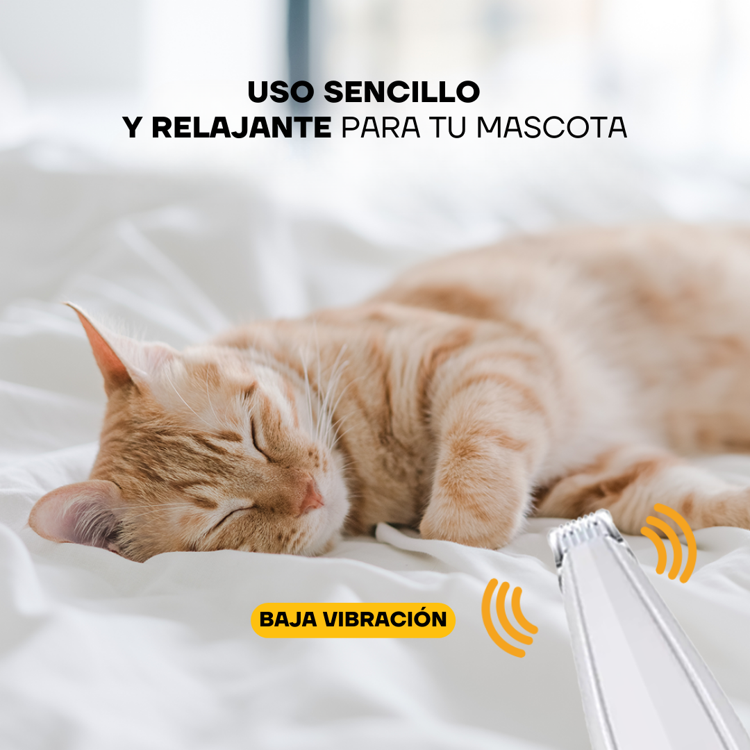 Gato relajado durante el uso sencillo de la recortadora PT203