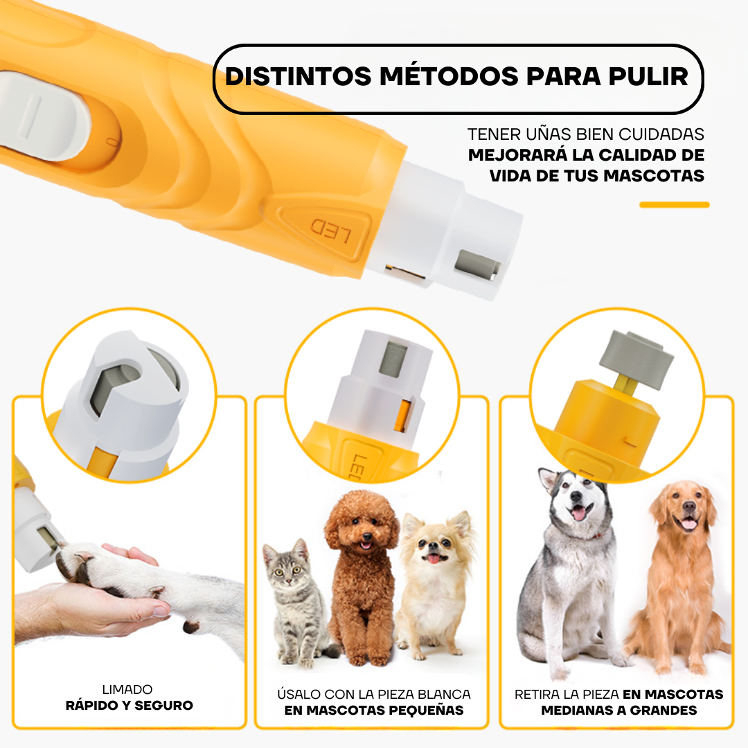 Puertos de limado del PG100 para uñas de perros y gatos