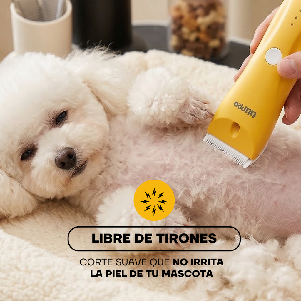 Perro blanco con corte sin tirones gracias a la PT304