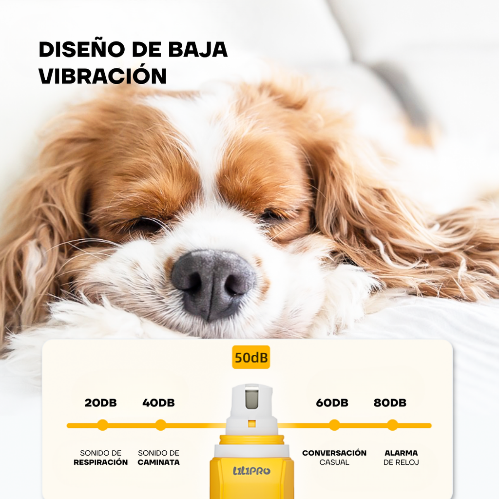 Perro relajado gracias al diseño de baja vibración del PG101