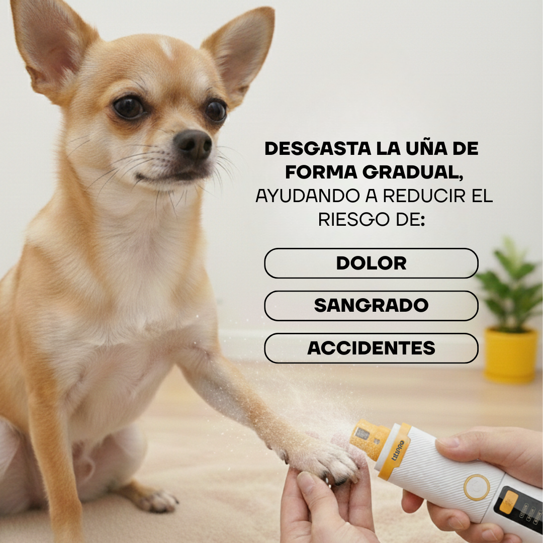 Chihuahua junto al limador PG102 y sus modos de velocidad