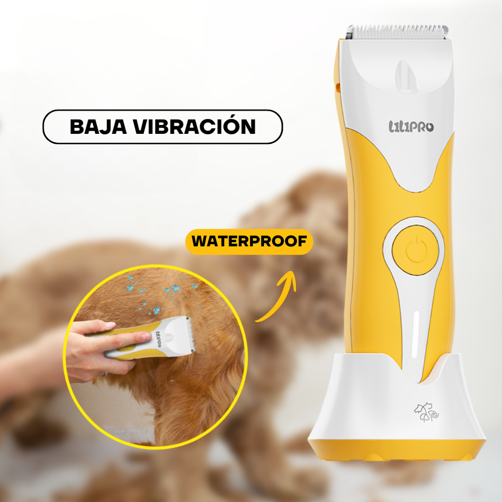 Corte de pelo a un gato con la cortadora PT302 de baja vibración