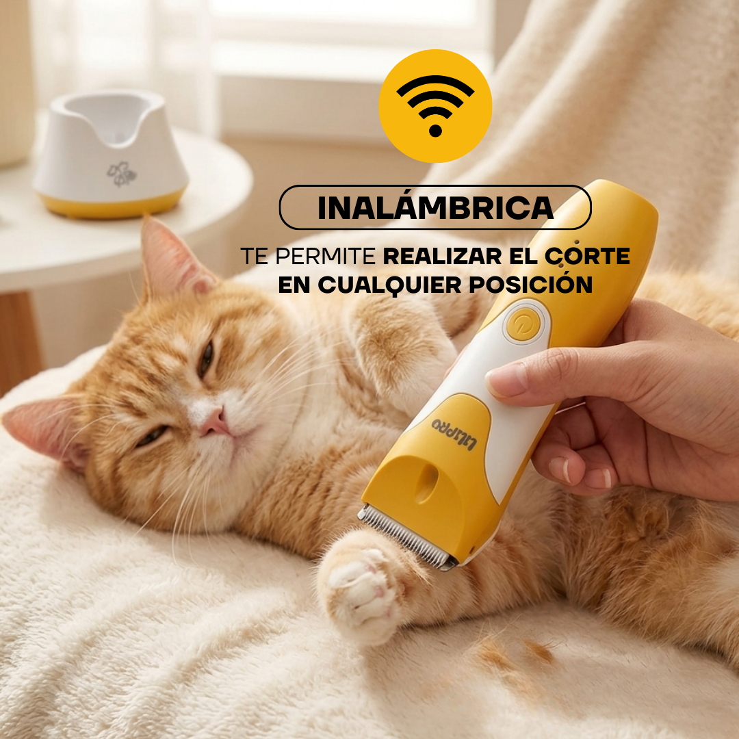 Gato recibiendo corte de pelo en casa con la PT303