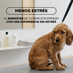 Cachorro golden retriever tranquilo: corte de pelo con menos estrés